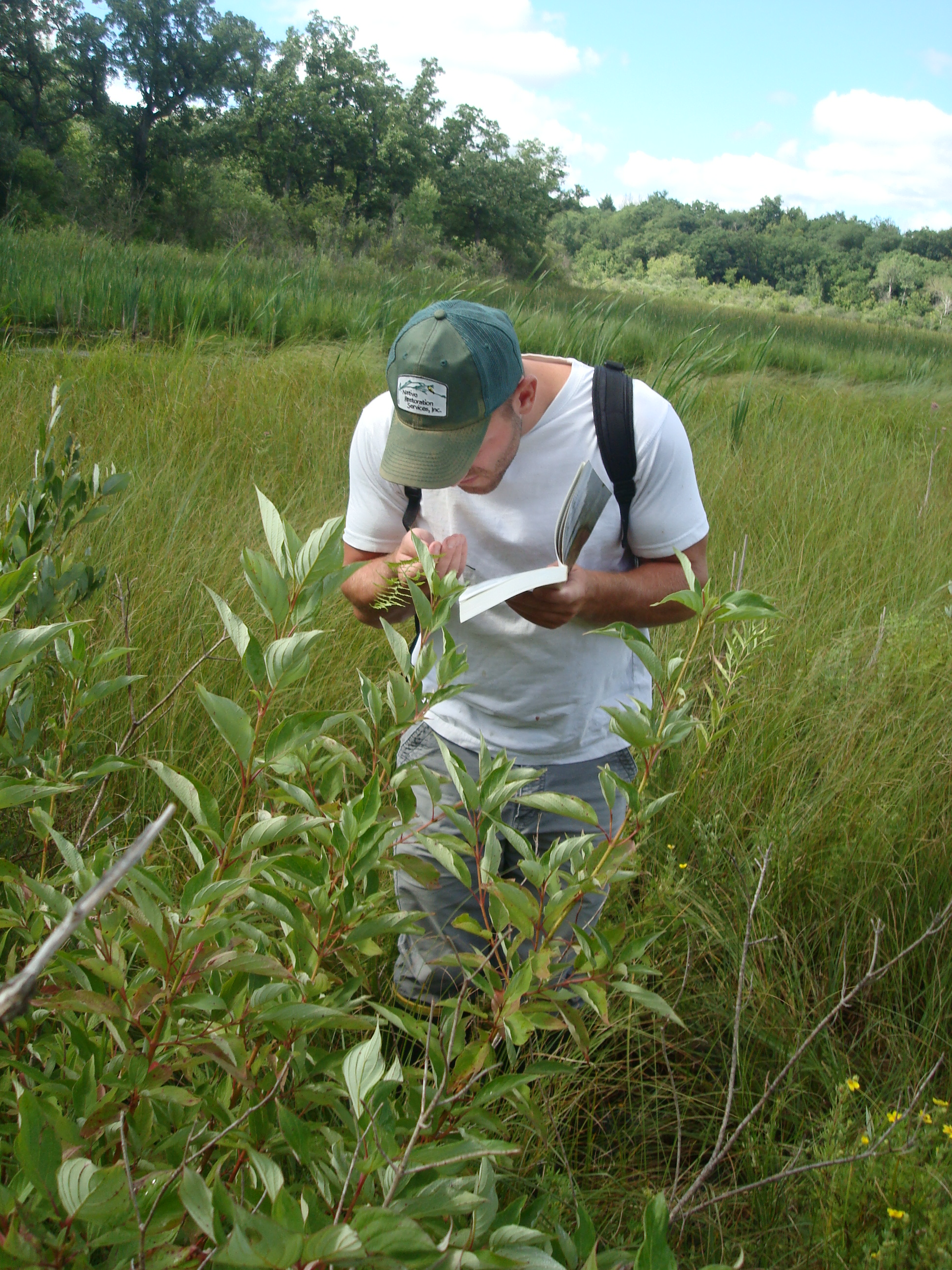 prairie field work